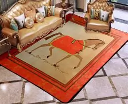 hermes tapis s_a4651b